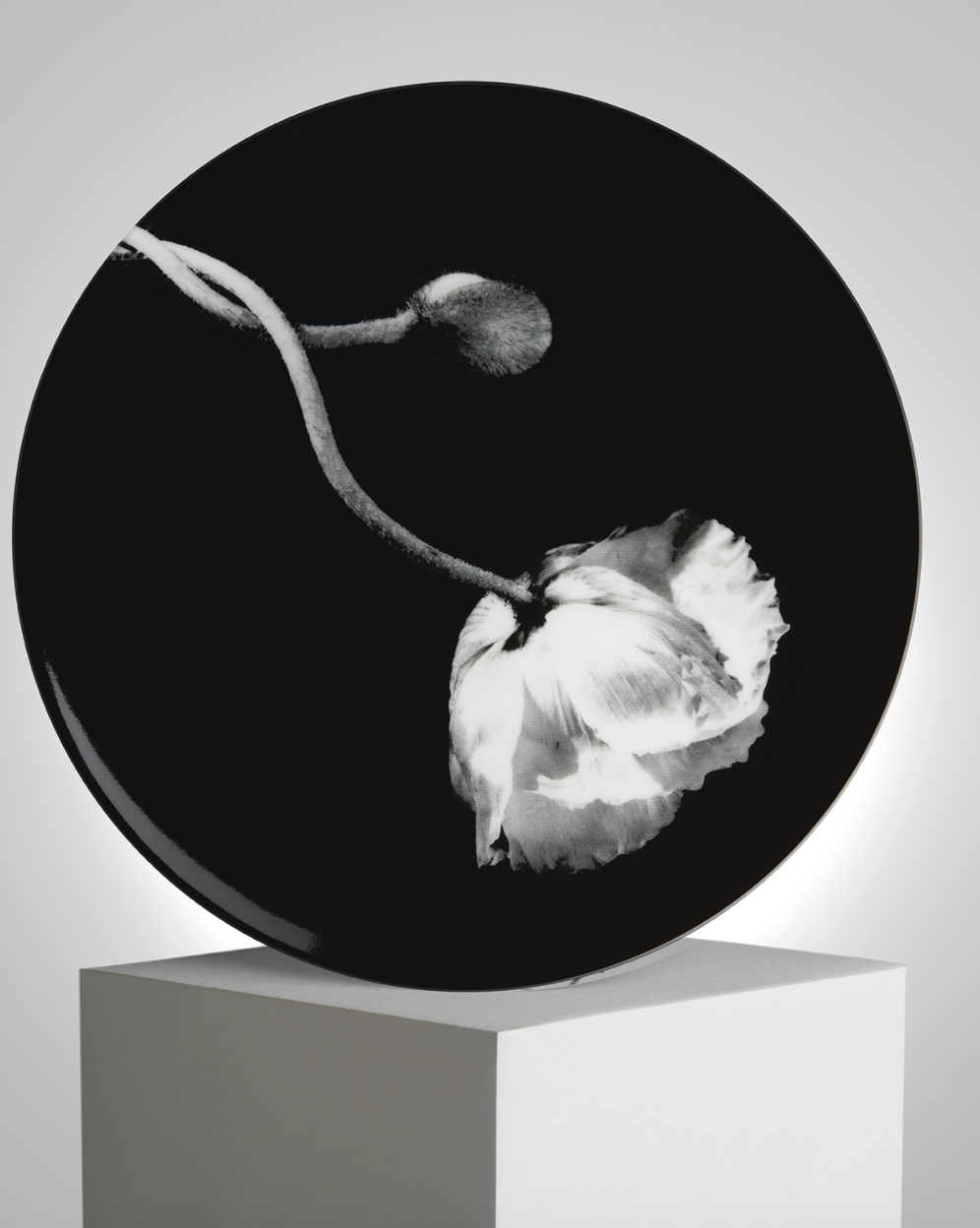 Robert Mapplethorpe Poppy Porcelain Plate
