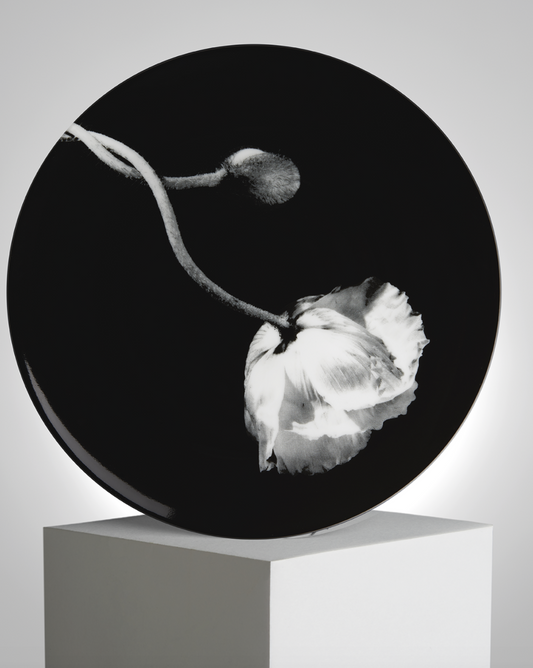 Robert Mapplethorpe Poppy Porcelain Plate