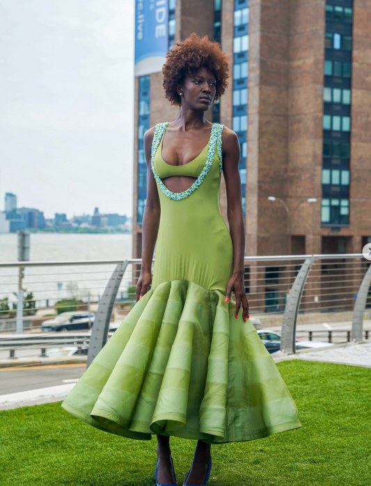 A Totally Different Feeling, Black Beauty at NYFW